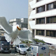 Image for article titled Meet the Wildlife Inadvertently Captured By Google's Street View Cameras